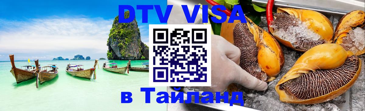 Оформление DTV визы под ключ: стоимость и тарифы, только загранпаспорт - 18.11.2025 